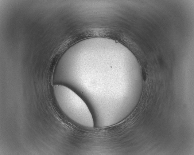 X0000058800306200509300921