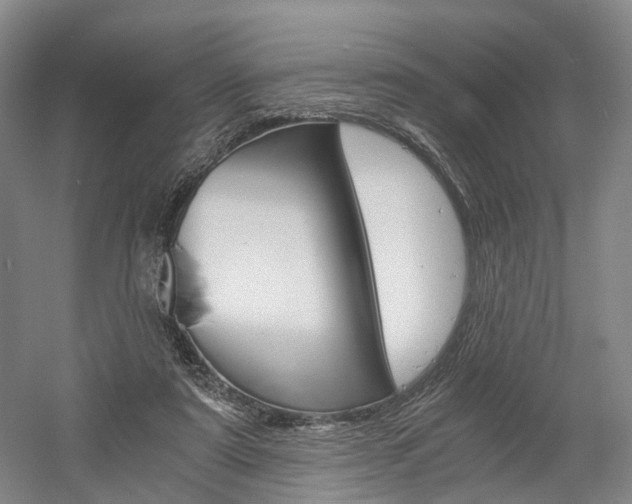 X0000058800307200509300921
