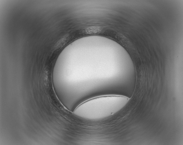 X0000058800308200509300921