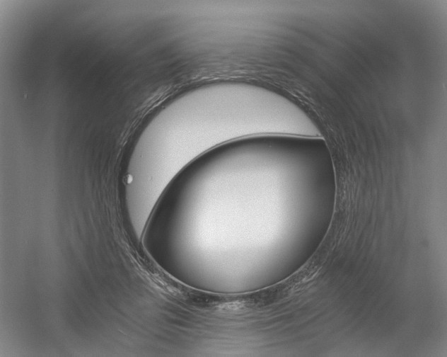 X0000058800309200509300921