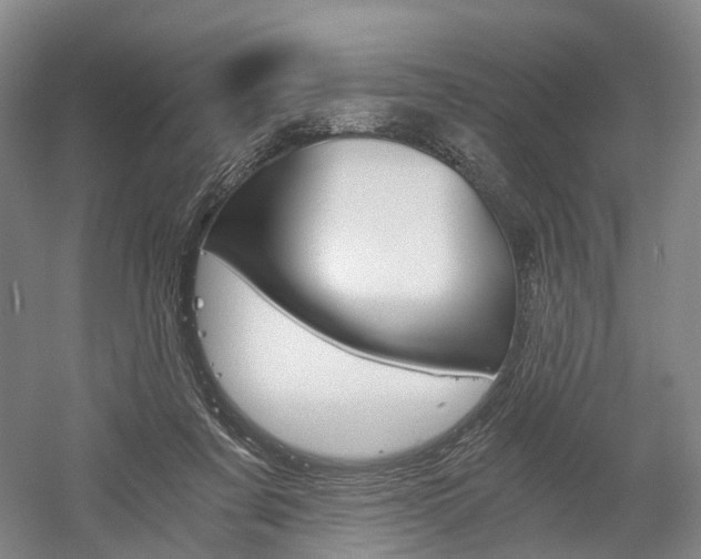 X0000058800311200509300921