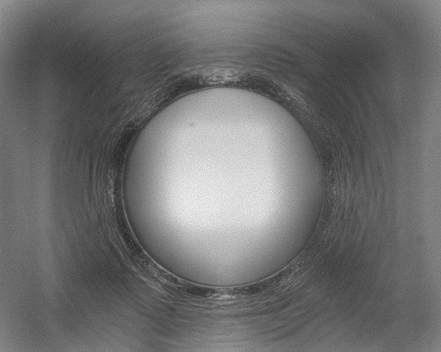 X0000058800315200509300921