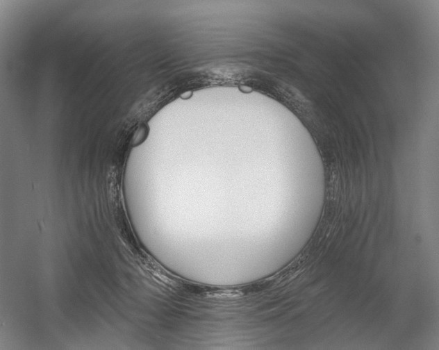 X0000058800318200509300921