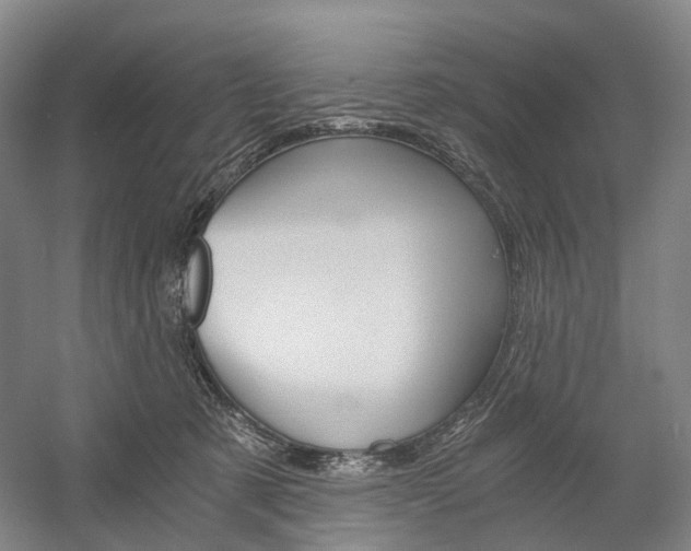 X0000058800321200509300921