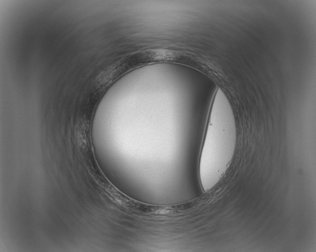 X0000058800325200509300921