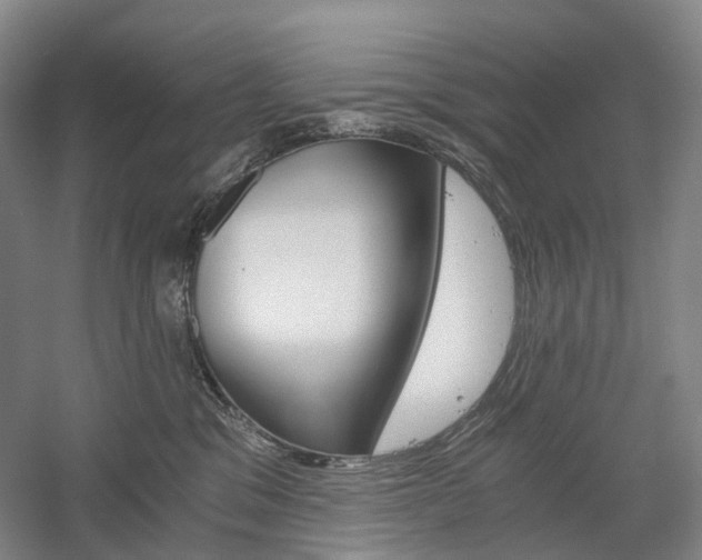 X0000058800329200509300921