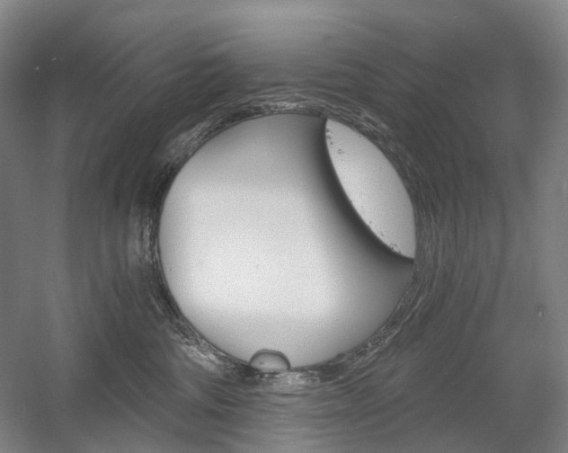 X0000058800330200509300921