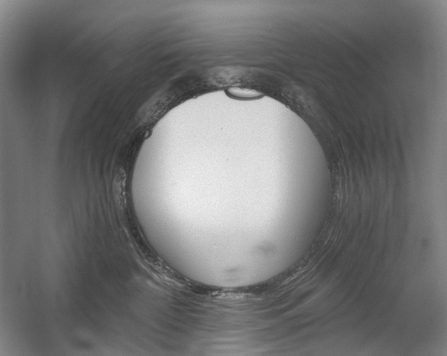 X0000058800332200509300921