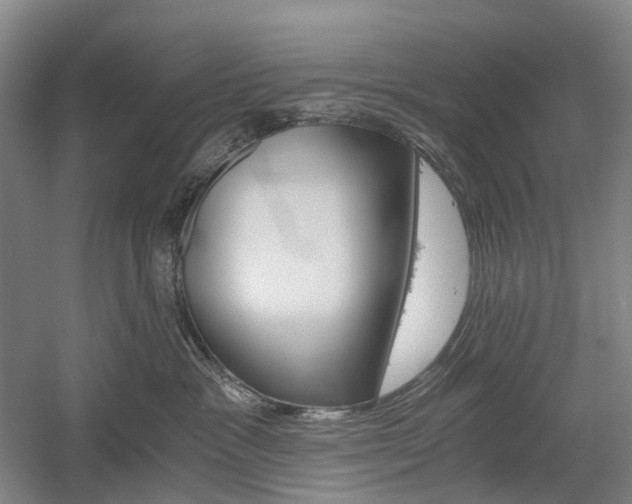 X0000058800333200509300921