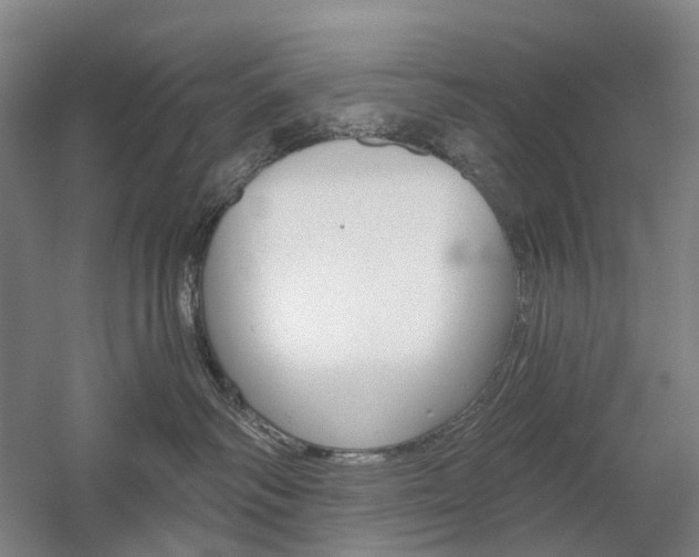 X0000058800334200509300920