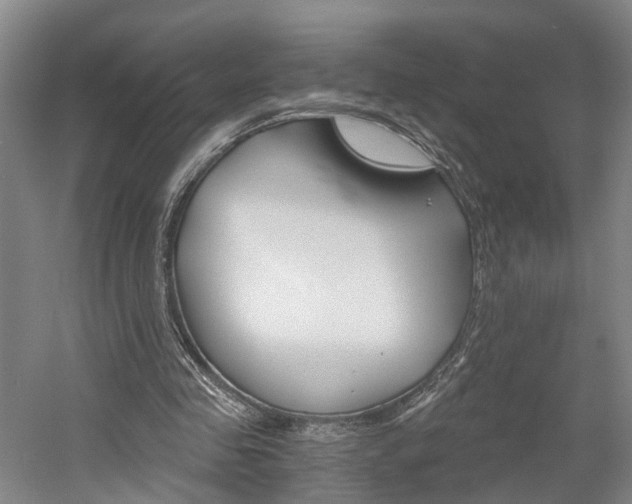 X0000058800341200509300920