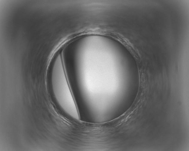 X0000058800344200509300920