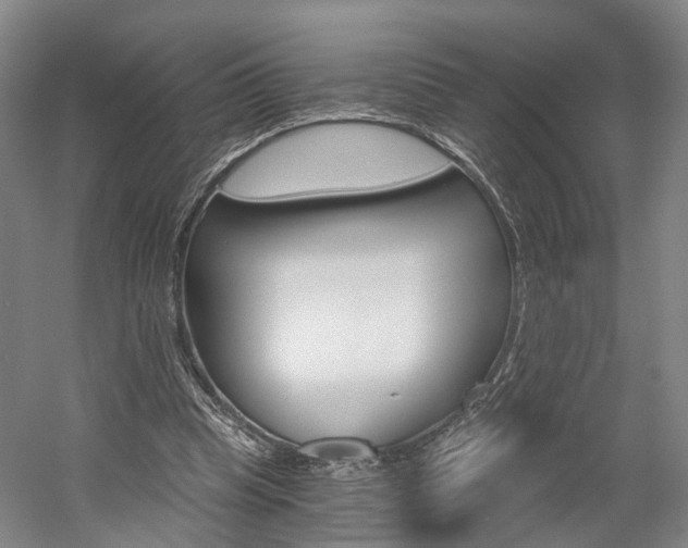 X0000058800345200509300920