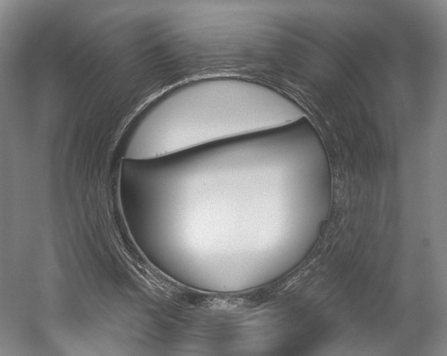 X0000058800346200509300920