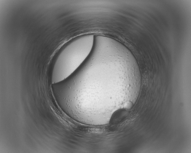 X0000058800347200509300920