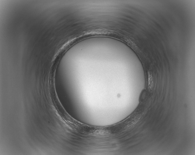 X0000058800348200509300920