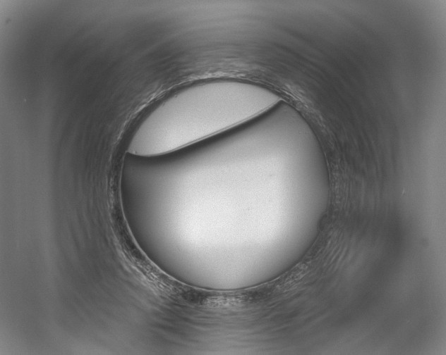 X0000058800354200509300920