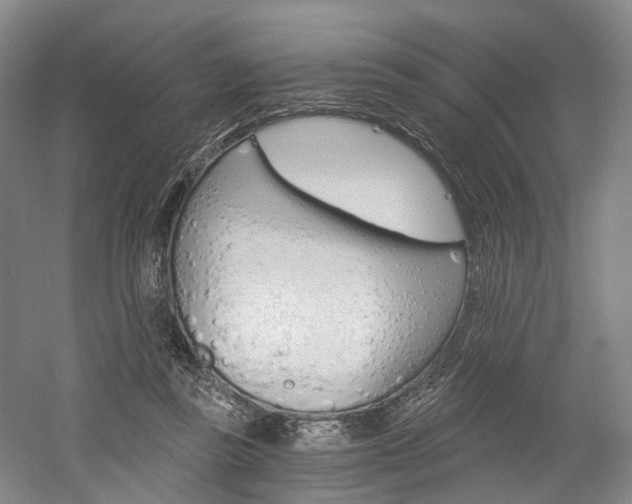 X0000058800355200509300920