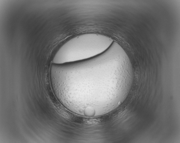 X0000058800359200509300920