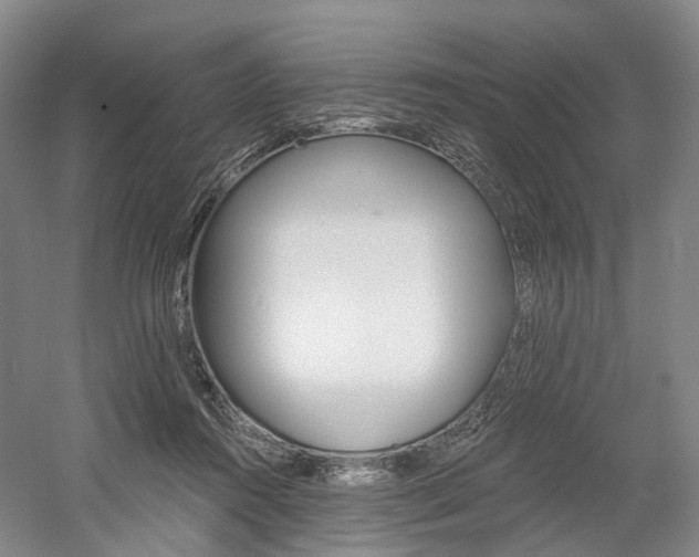 X0000058800360200509300920