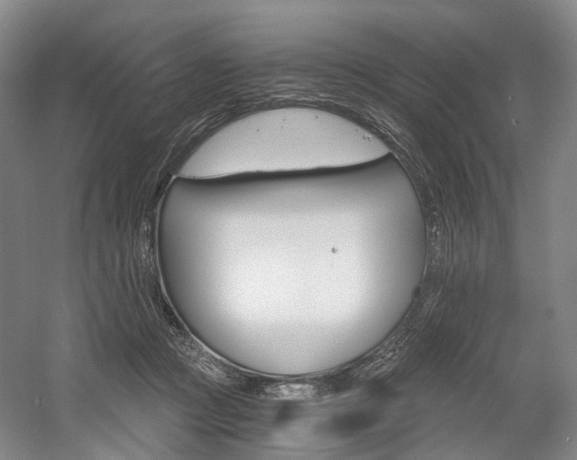 X0000058800361200509300920