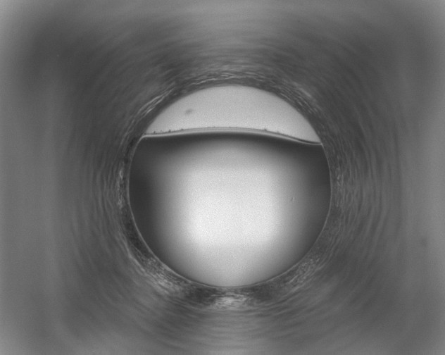 X0000058800364200509300920