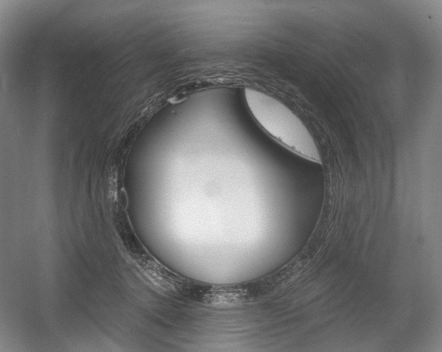 X0000058800368200509300920