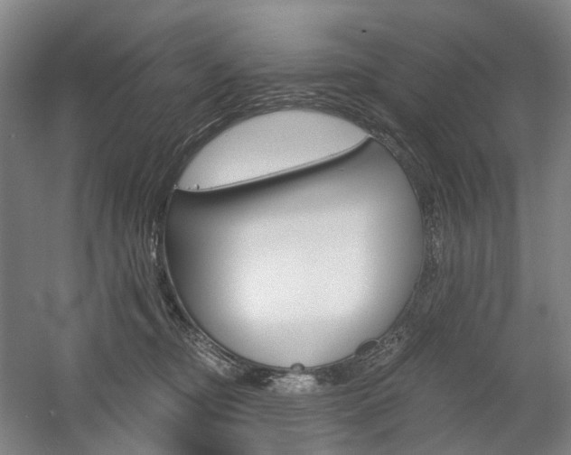 X0000058800374200509300920