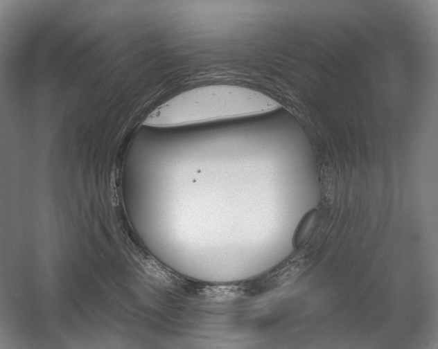 X0000058800378200509300920