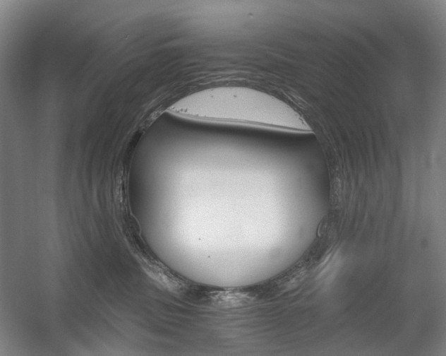 X0000058800379200509300920