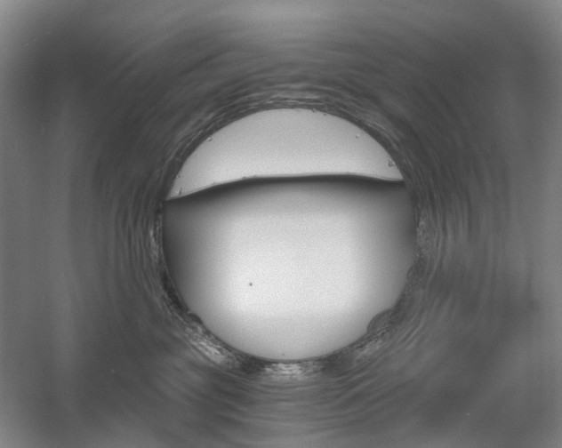 X0000058800381200509300920