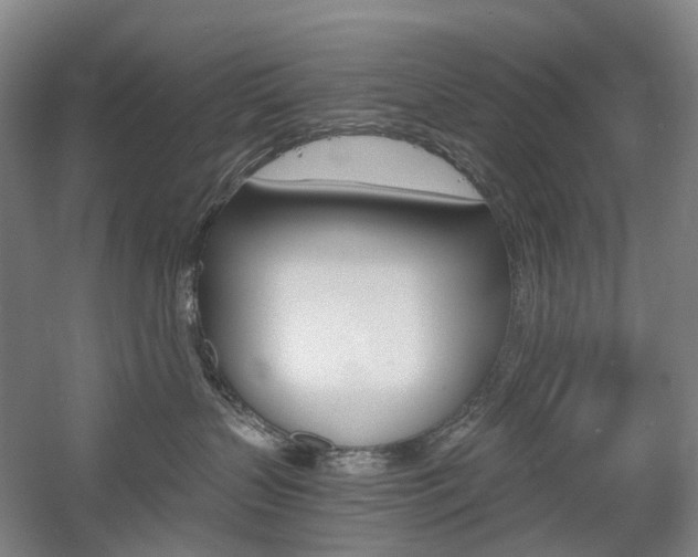 X0000058800383200509300920
