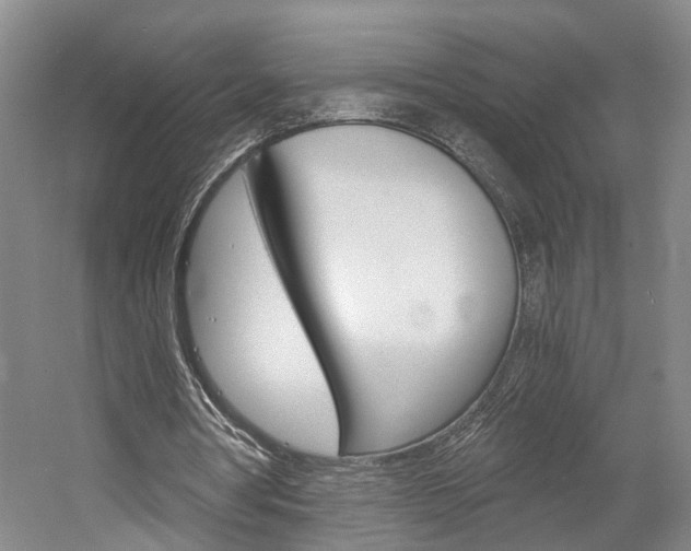 X0000058800386200509300920