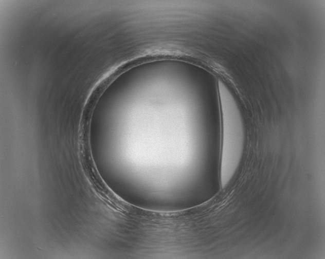 X0000058800388200509300920