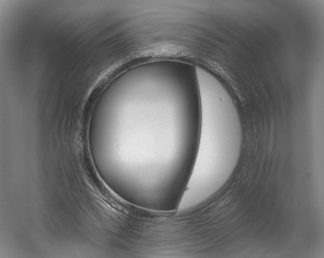 X0000058800392200509300920