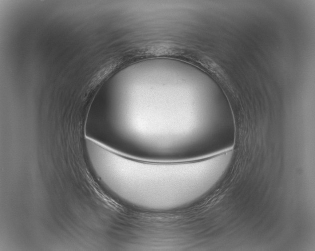 X0000058800393200509300919