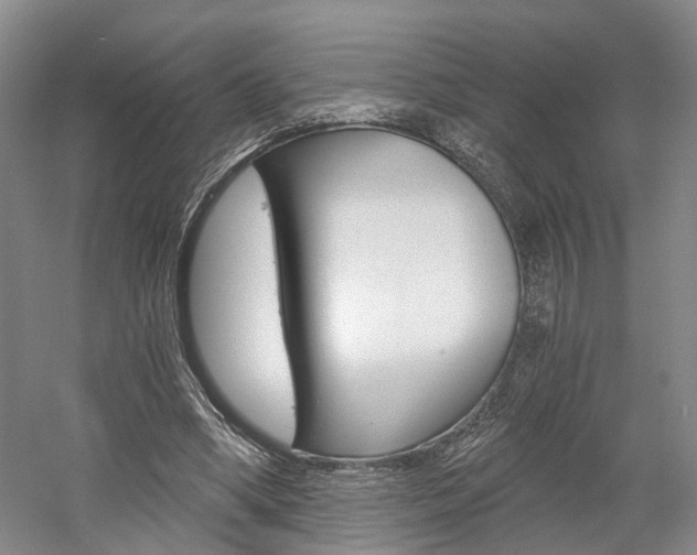 X0000058800394200509300919