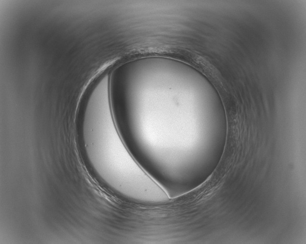 X0000058800395200509300919