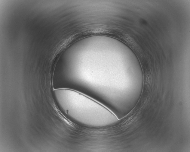 X0000058800397200509300919