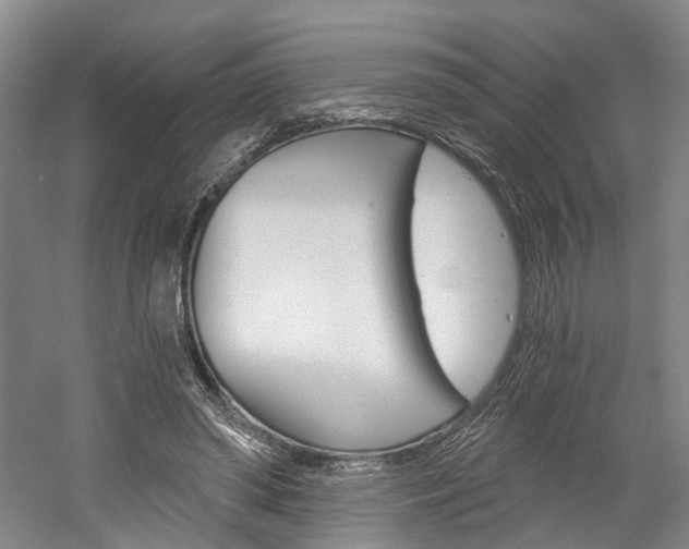 X0000058800398200509300919