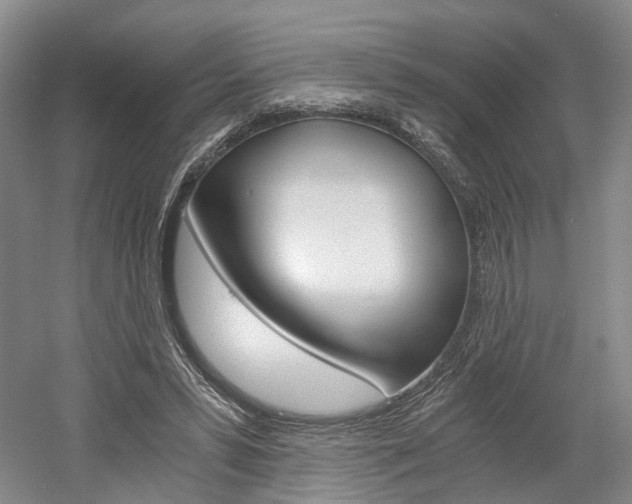 X0000058800399200509300919