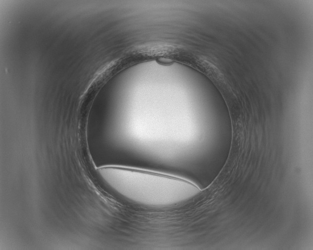 X0000058800400200509300919