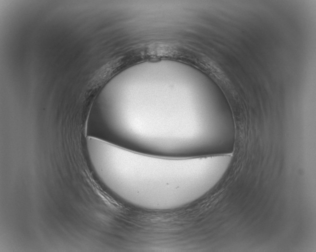 X0000058800401200509300919