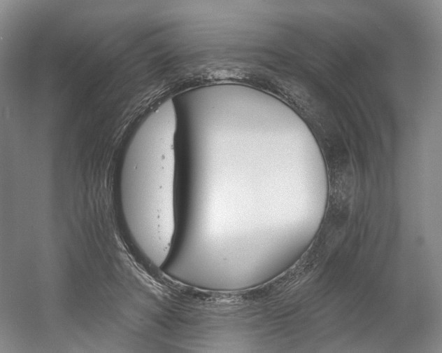 X0000058800402200509300919