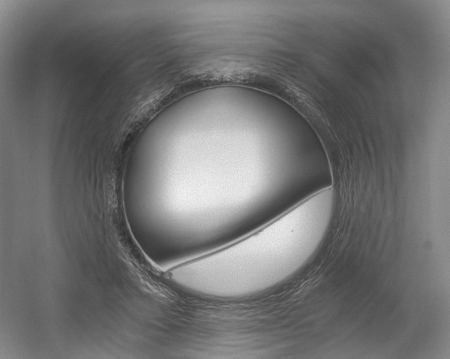 X0000058800403200509300919