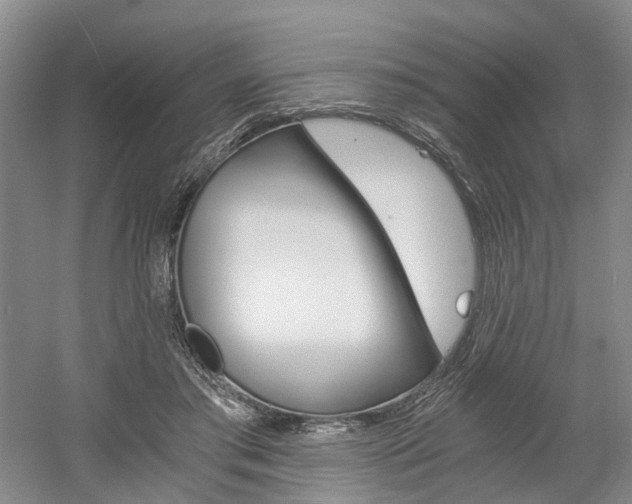X0000058800405200509300919