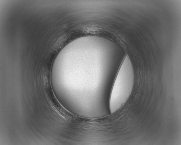 X0000058800408200509300919
