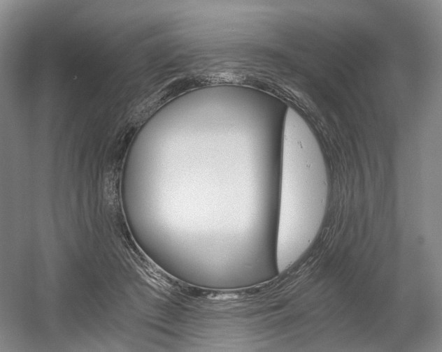 X0000058800409200509300919
