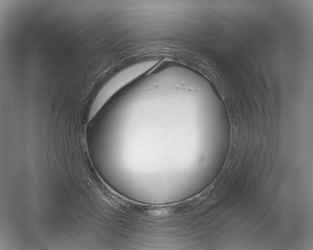 X0000058800411200509300919