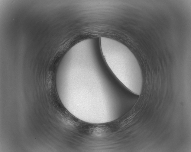 X0000058800412200509300919